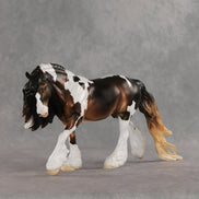 Someone New OOAK Irish Cob by Jess Hamill VV26