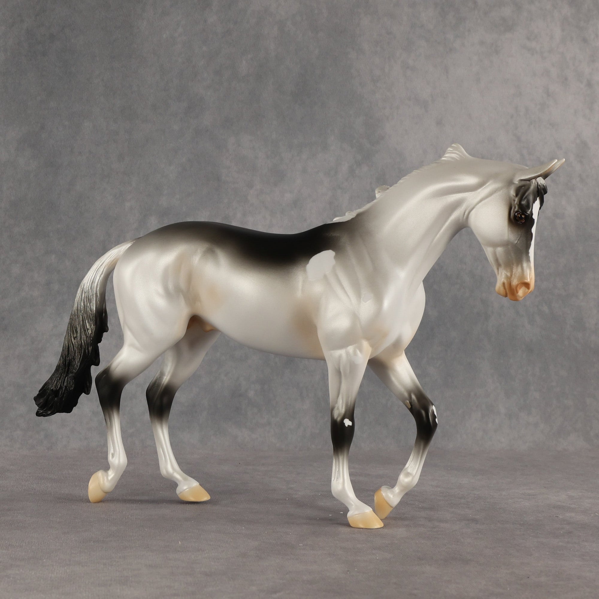 Soot Face OOAK Thoroughbred by Alex Fortman SHCF26