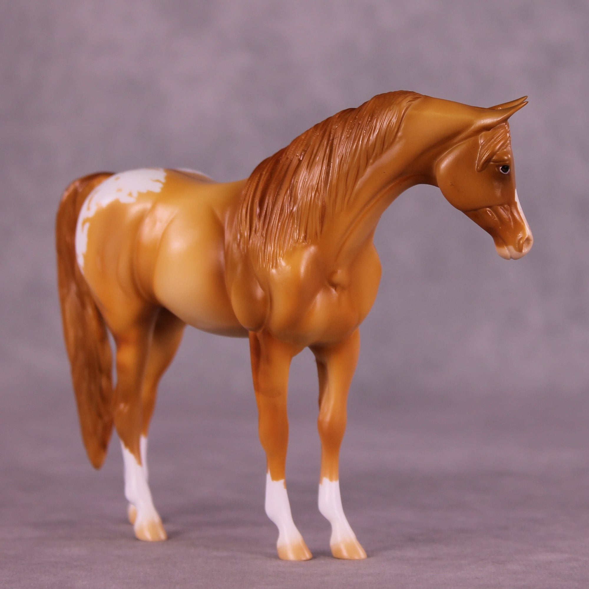 Sophia OOAK Pebble Arabian Mare by Erin Corbett MM25 Group B