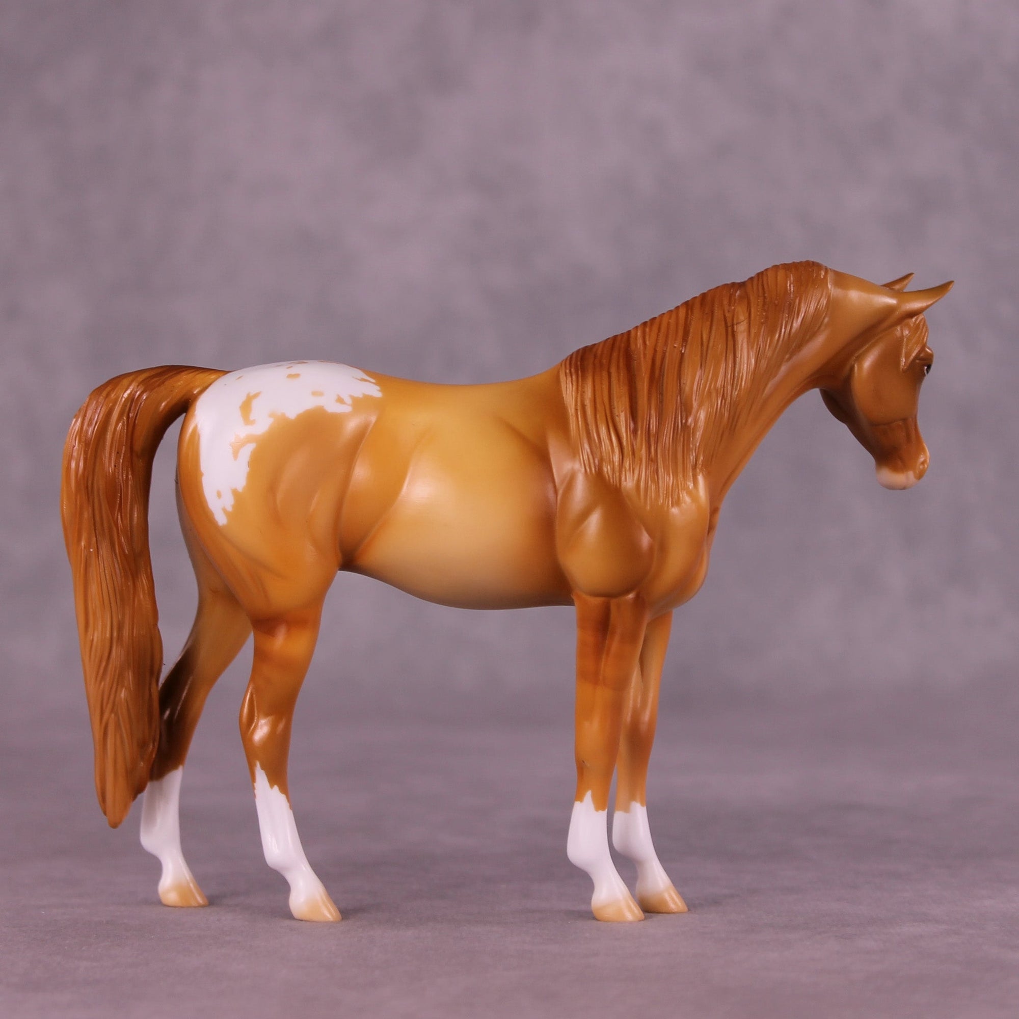 Sophia OOAK Pebble Arabian Mare by Erin Corbett MM25 Group B