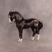 Soul Rider OOAK FCM Andalusian by Julie Keim EQ26