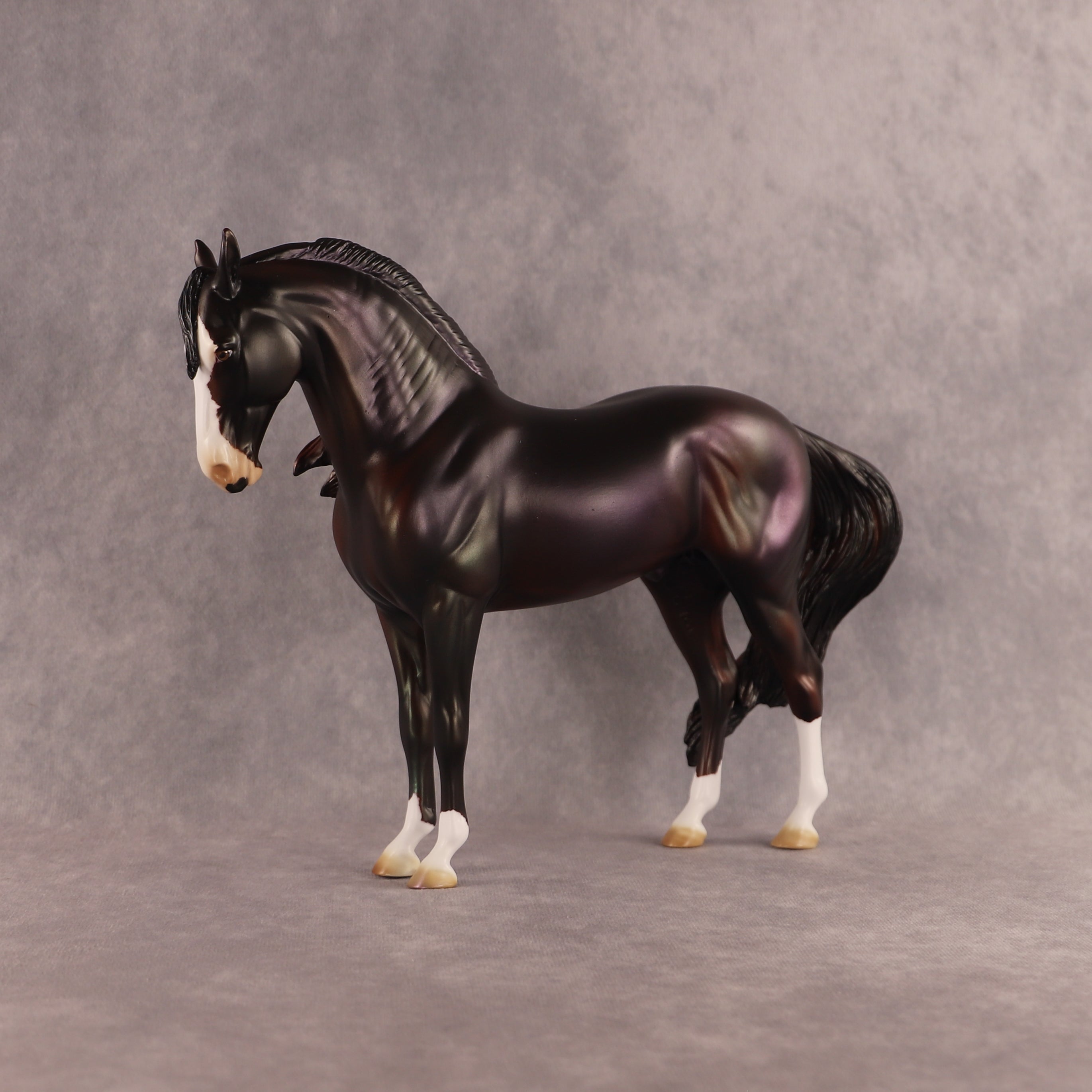 Soul Rider OOAK FCM Andalusian by Julie Keim EQ26
