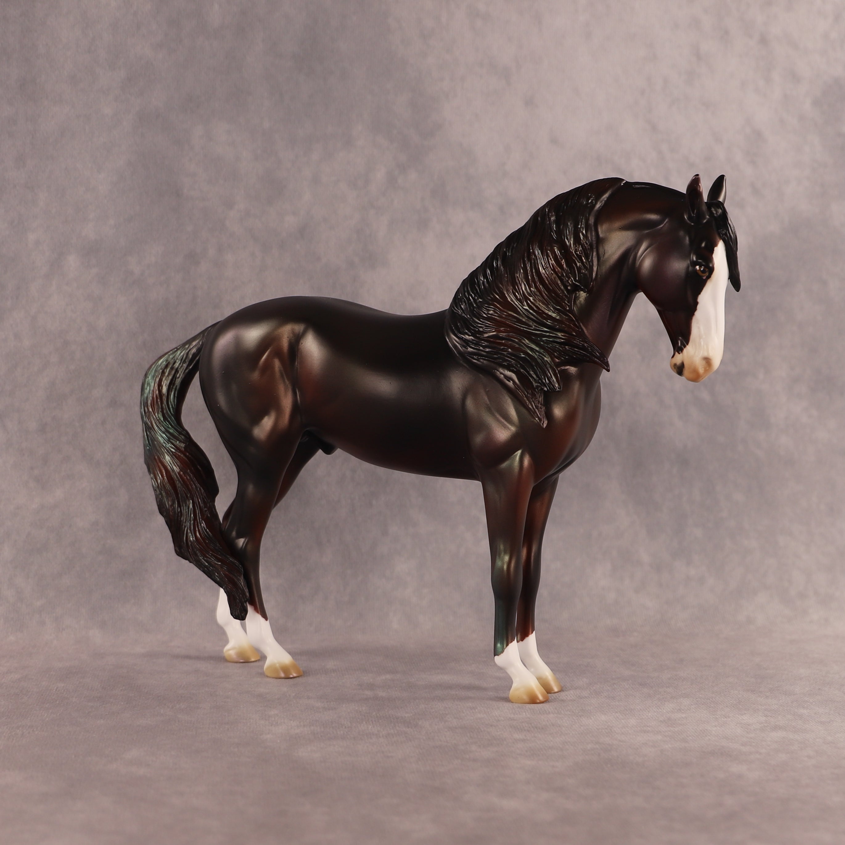 Soul Rider OOAK FCM Andalusian by Julie Keim EQ26
