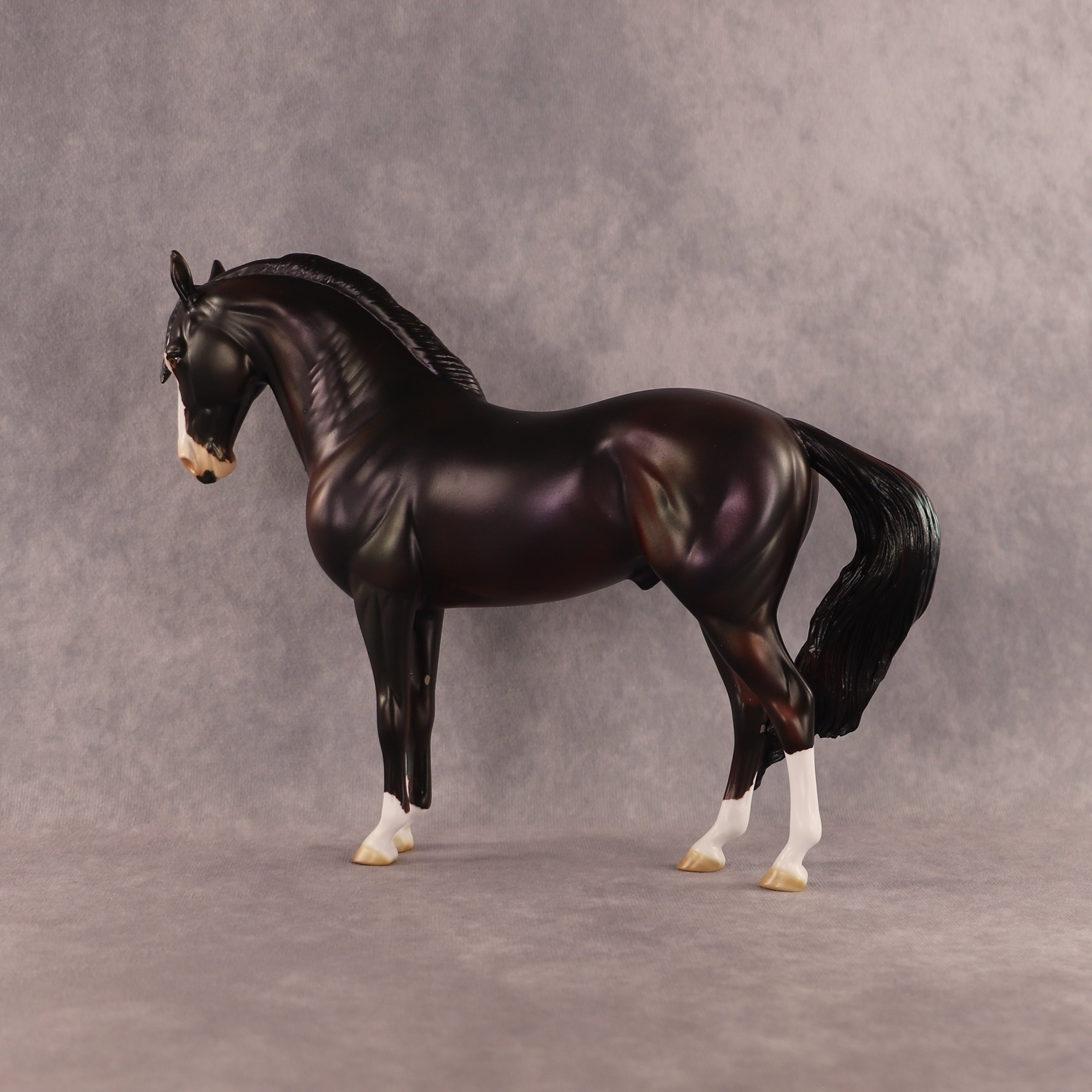 Soul Rider OOAK FCM Andalusian by Julie Keim EQ26