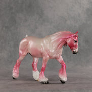 Sour Candy OOAK FCM Irish Cob by Jess Hamill VV26