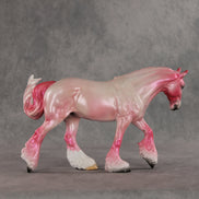 Sour Candy OOAK FCM Irish Cob by Jess Hamill VV26