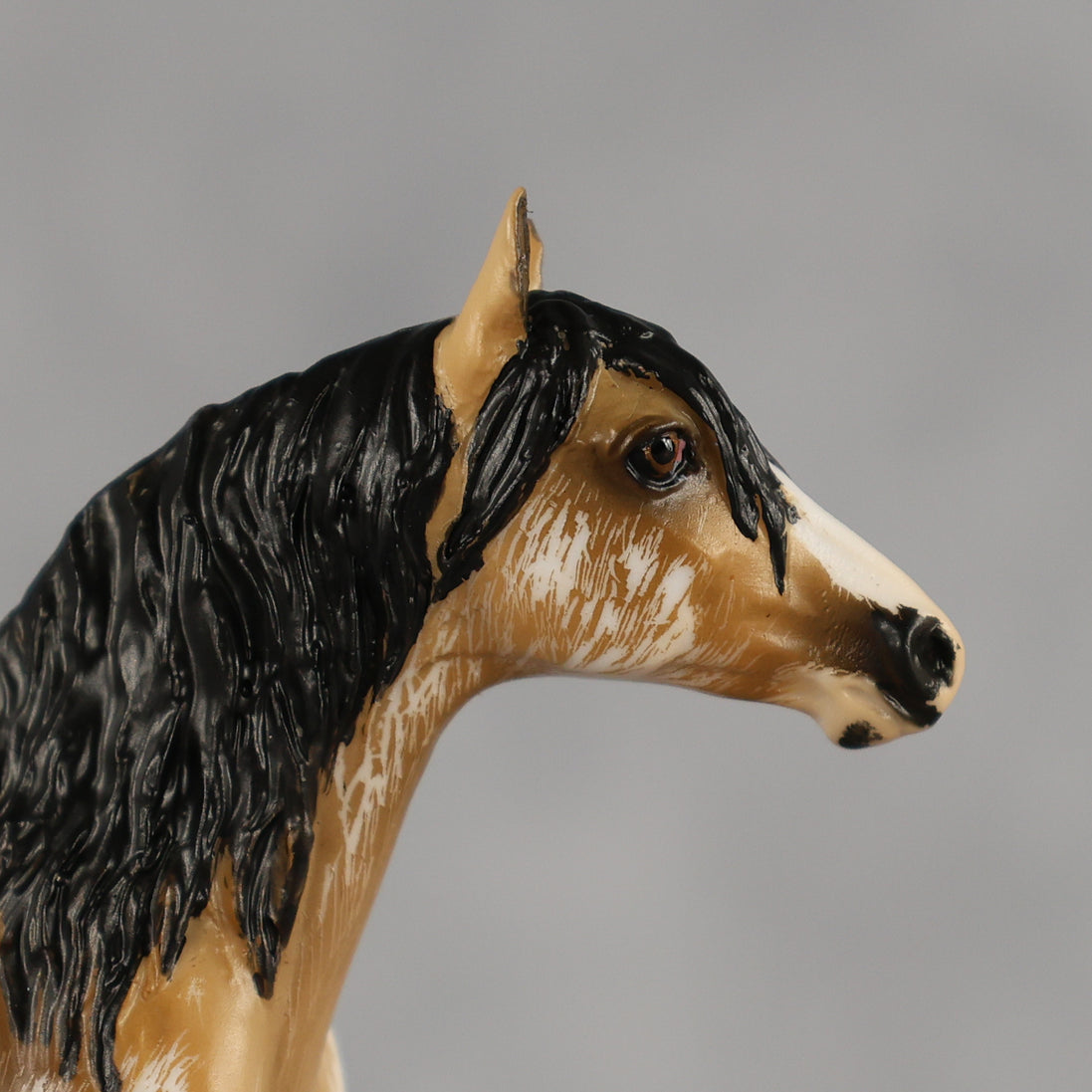 Sourdough OOAK Chip Andalusian by Kristian Beverly EQ26