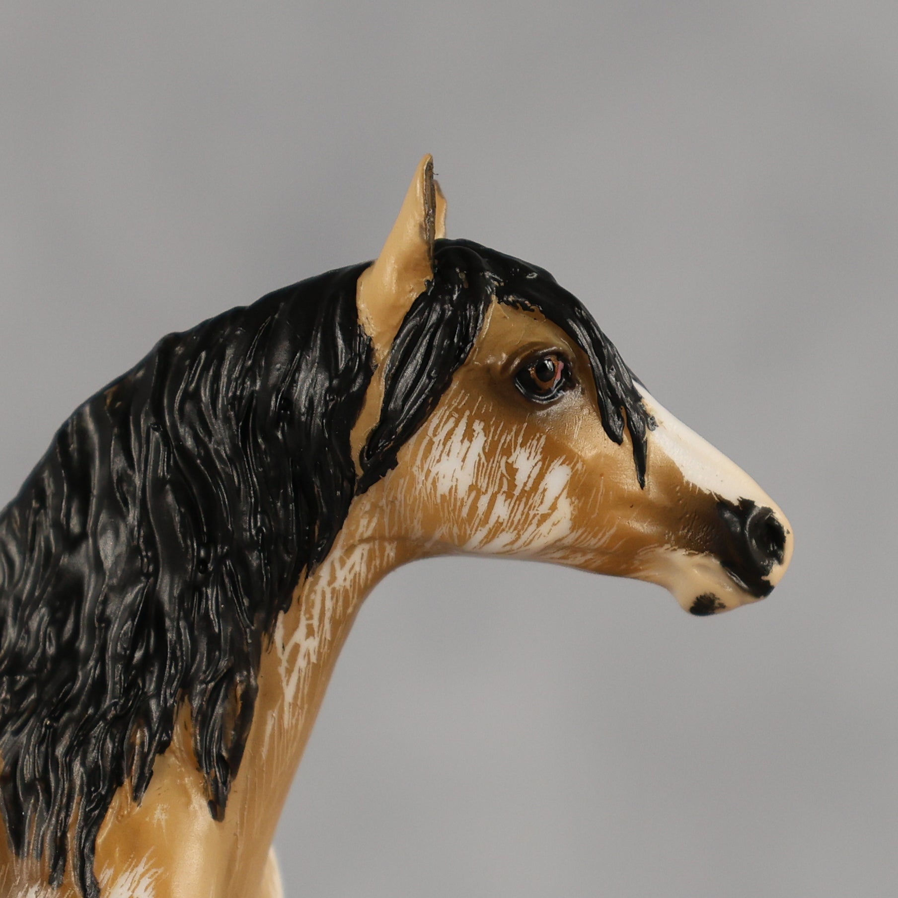 Sourdough OOAK Chip Andalusian by Kristian Beverly EQ26