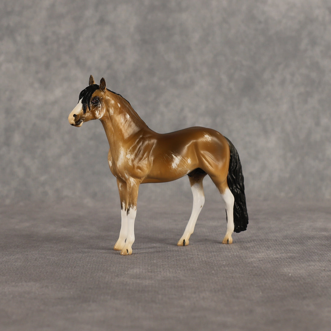 Sourdough OOAK Chip Andalusian by Kristian Beverly EQ26