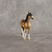 Sourdough OOAK Chip Andalusian by Kristian Beverly EQ26