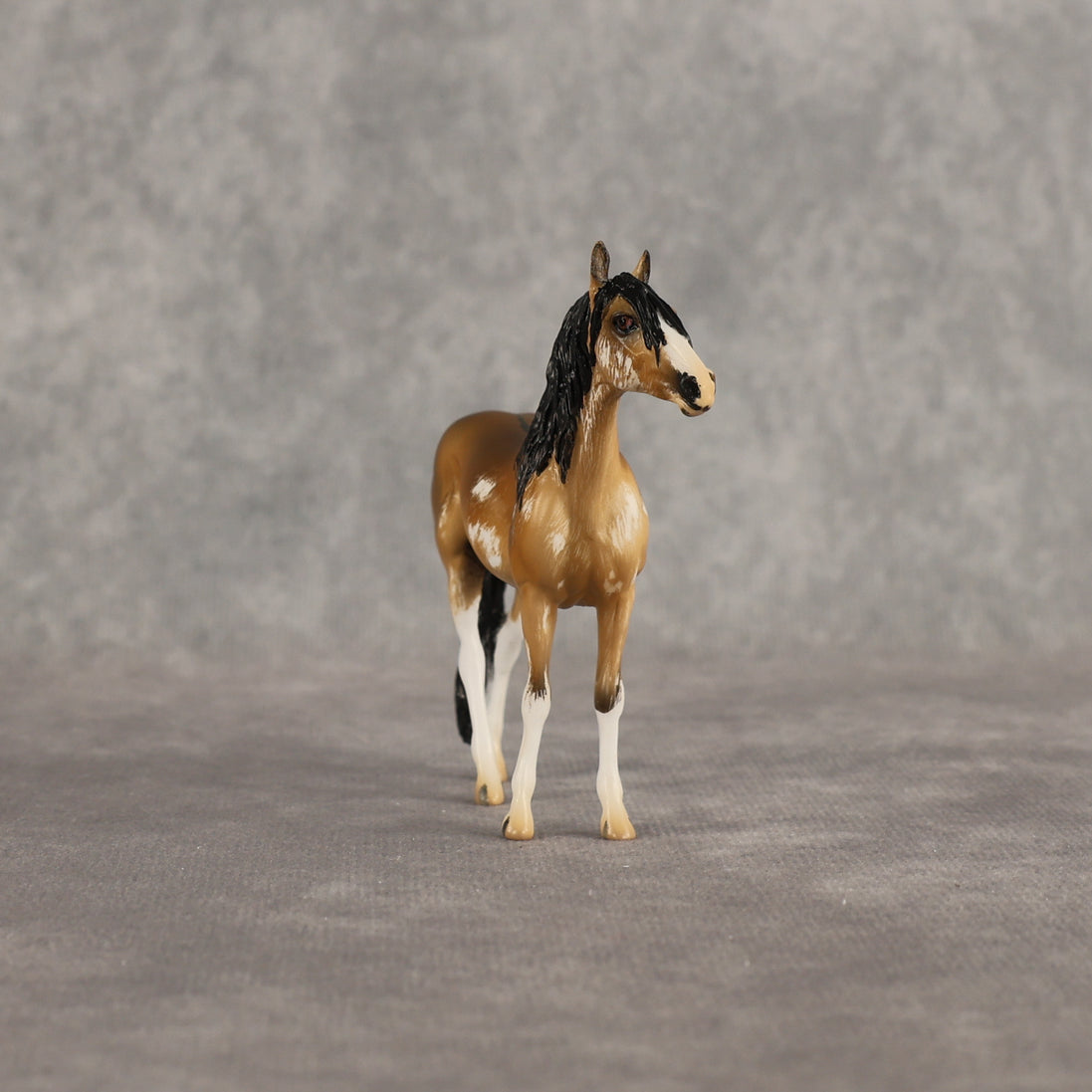 Sourdough OOAK Chip Andalusian by Kristian Beverly EQ26