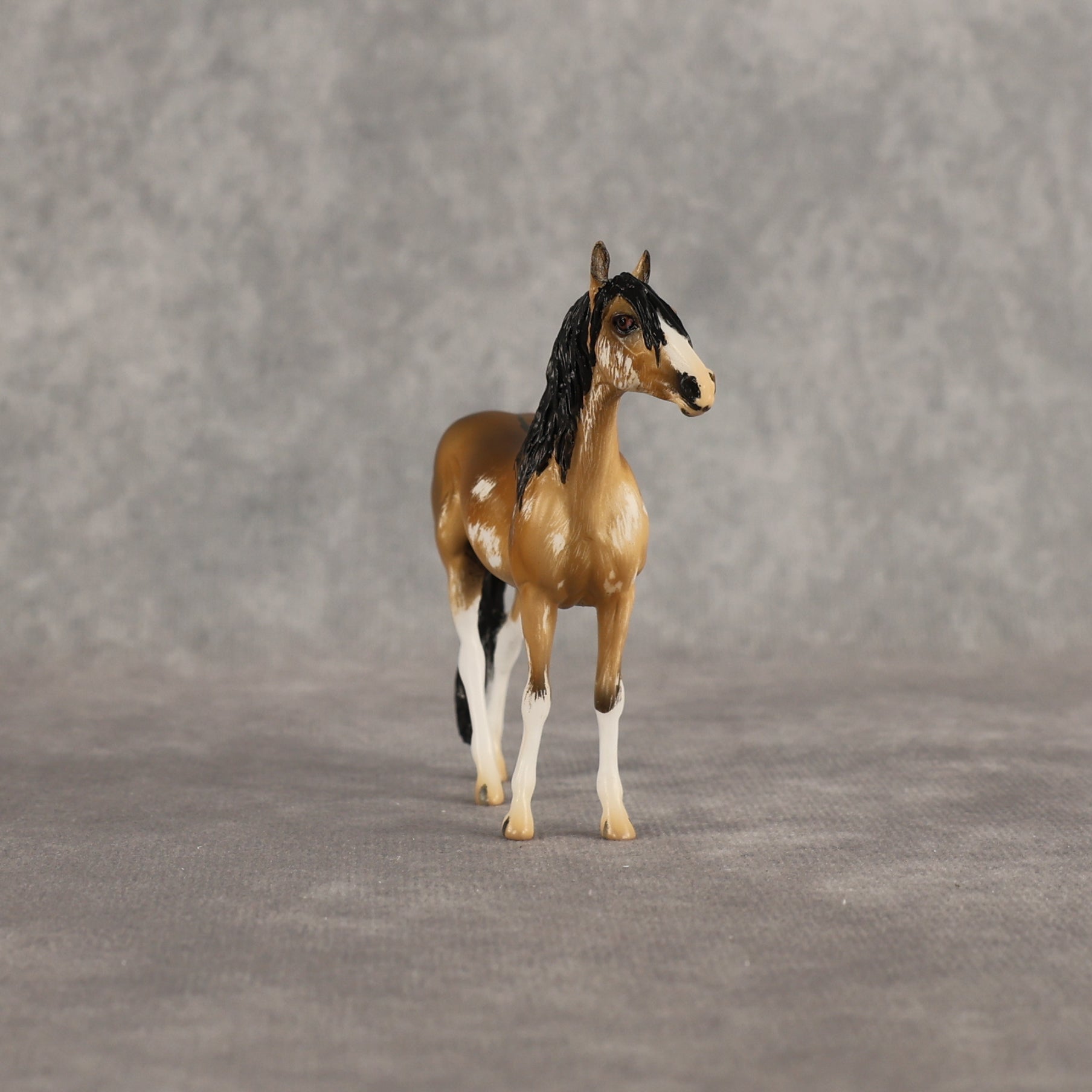 Sourdough OOAK Chip Andalusian by Kristian Beverly EQ26