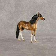 Sourdough OOAK Chip Andalusian by Kristian Beverly EQ26
