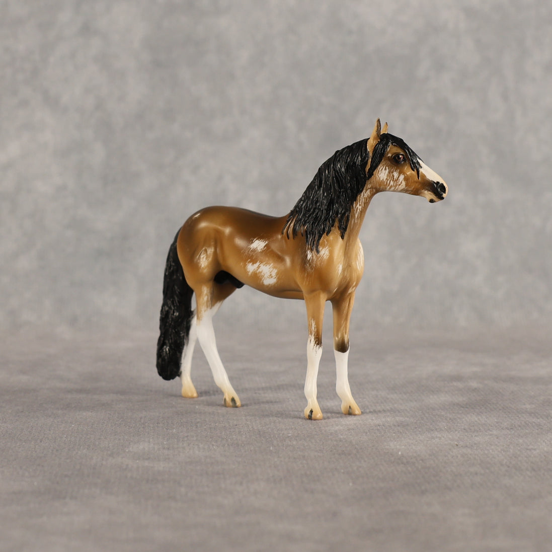 Sourdough OOAK Chip Andalusian by Kristian Beverly EQ26