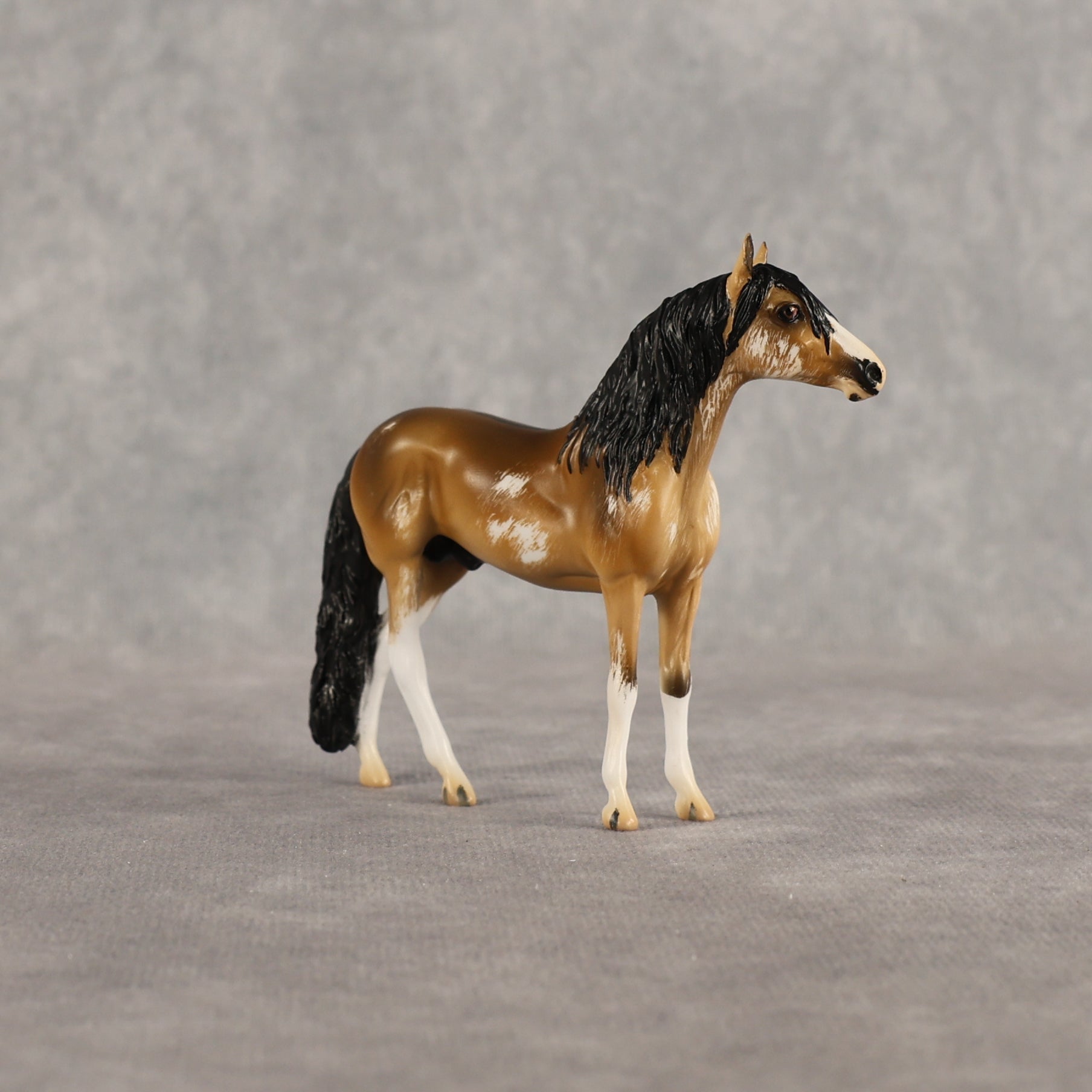 Sourdough OOAK Chip Andalusian by Kristian Beverly EQ26