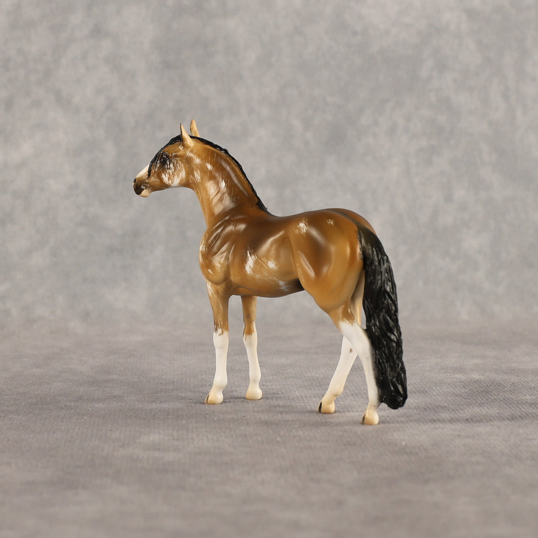 Sourdough OOAK Chip Andalusian by Kristian Beverly EQ26