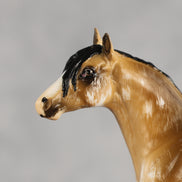 Sourdough OOAK Chip Andalusian by Kristian Beverly EQ26