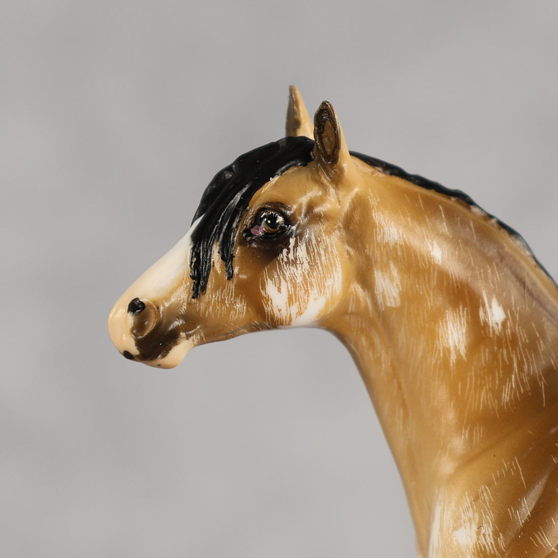 Sourdough OOAK Chip Andalusian by Kristian Beverly EQ26