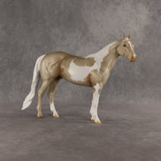 Sparrow OOAK Ideal Stock Horse by Madi Wiseman DDOOAKs26