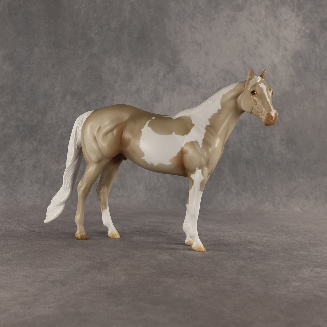Sparrow OOAK Ideal Stock Horse by Madi Wiseman DDOOAKs26