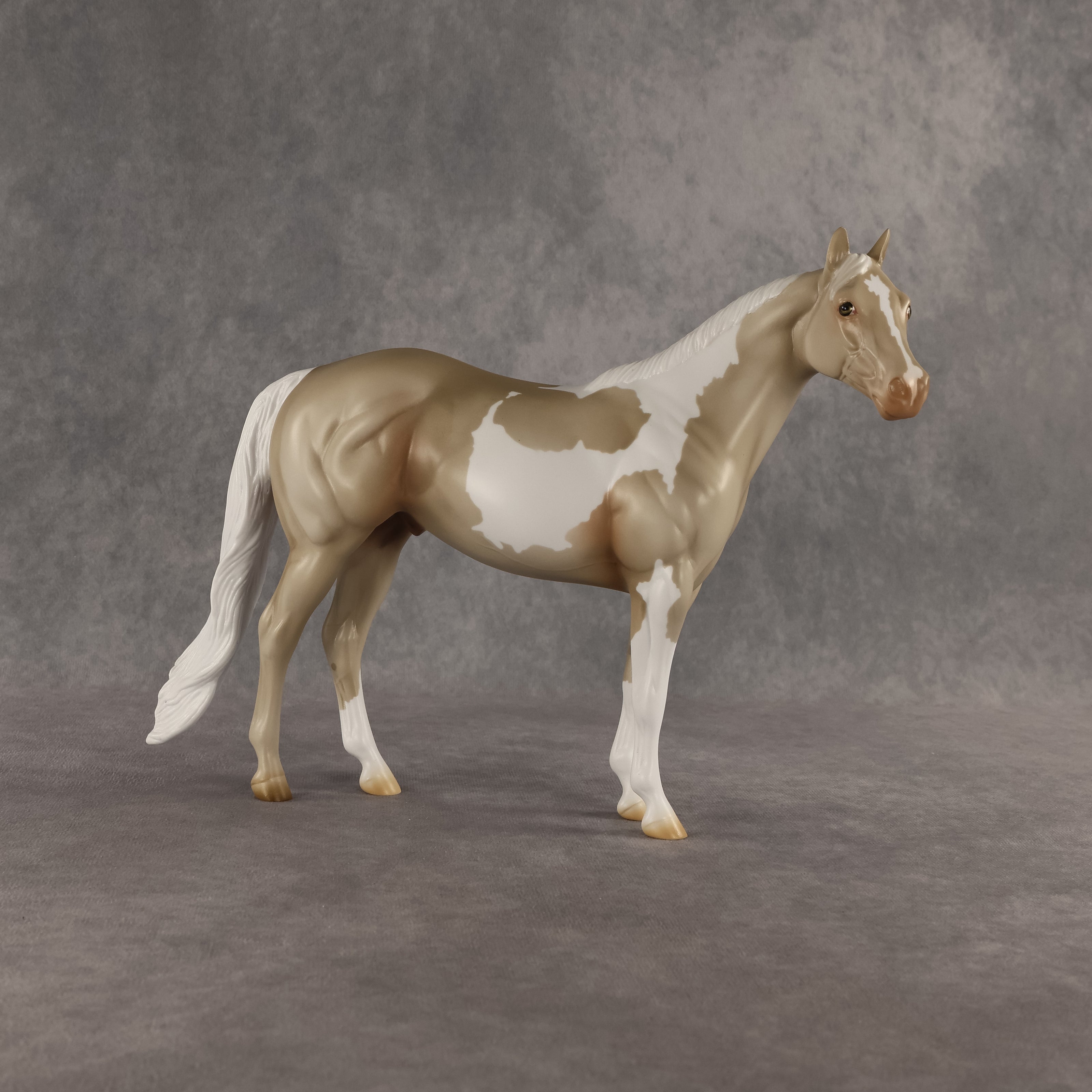 Sparrow OOAK Ideal Stock Horse by Madi Wiseman DDOOAKs26