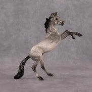 Sparrow OOAK Chip Mustang by Anna Rieck EQ26