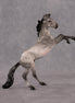 Sparrow OOAK Chip Mustang by Anna Rieck EQ26