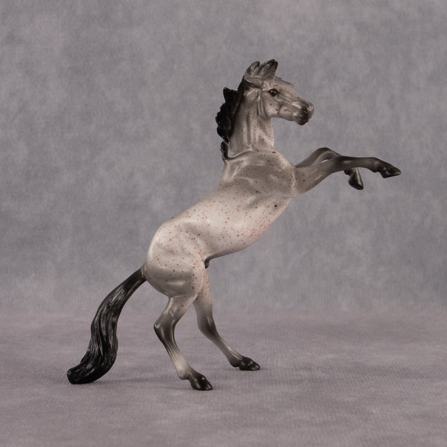 Sparrow OOAK Chip Mustang by Anna Rieck EQ26