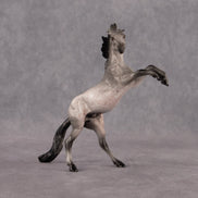 Sparrow OOAK Chip Mustang by Anna Rieck EQ26