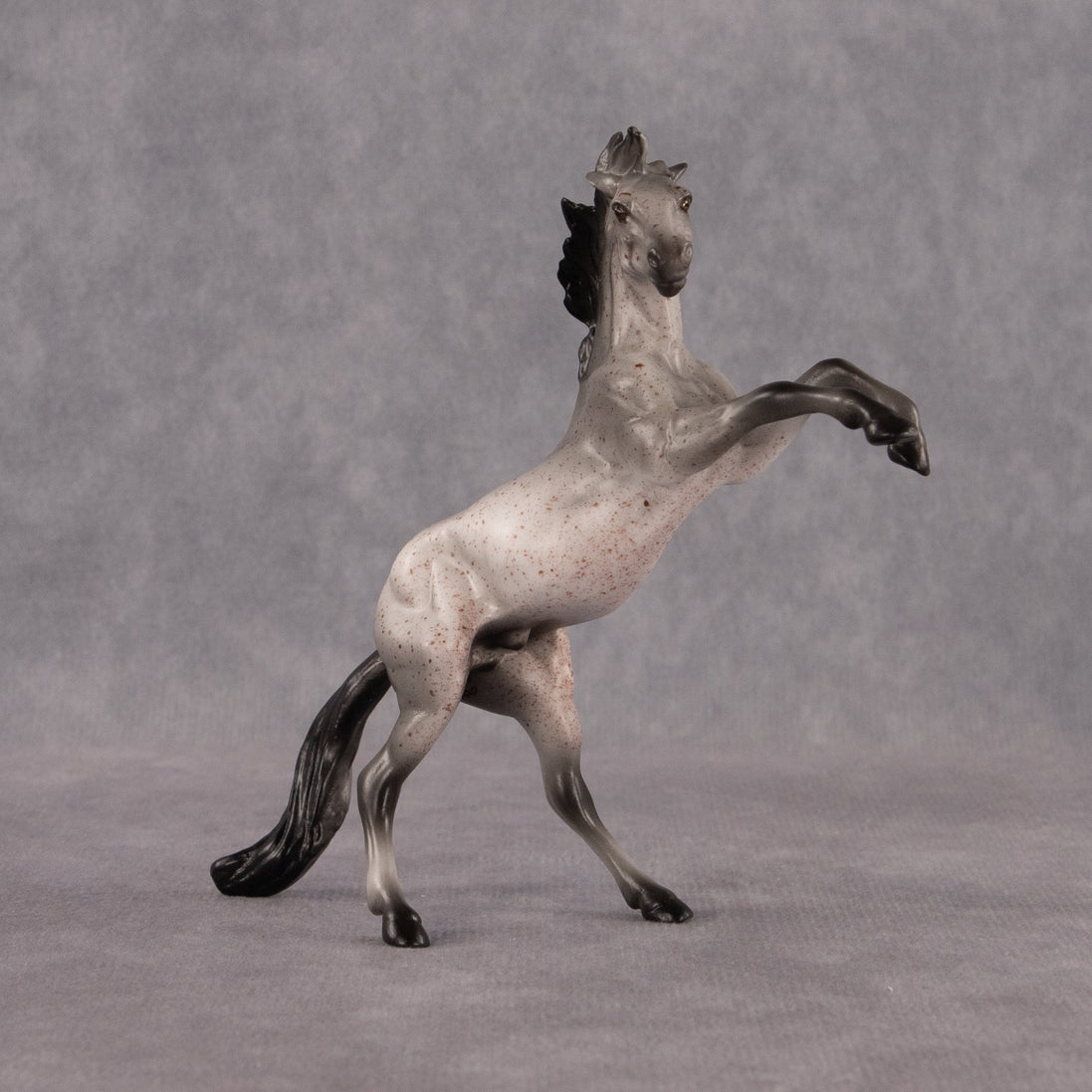 Sparrow OOAK Chip Mustang by Anna Rieck EQ26