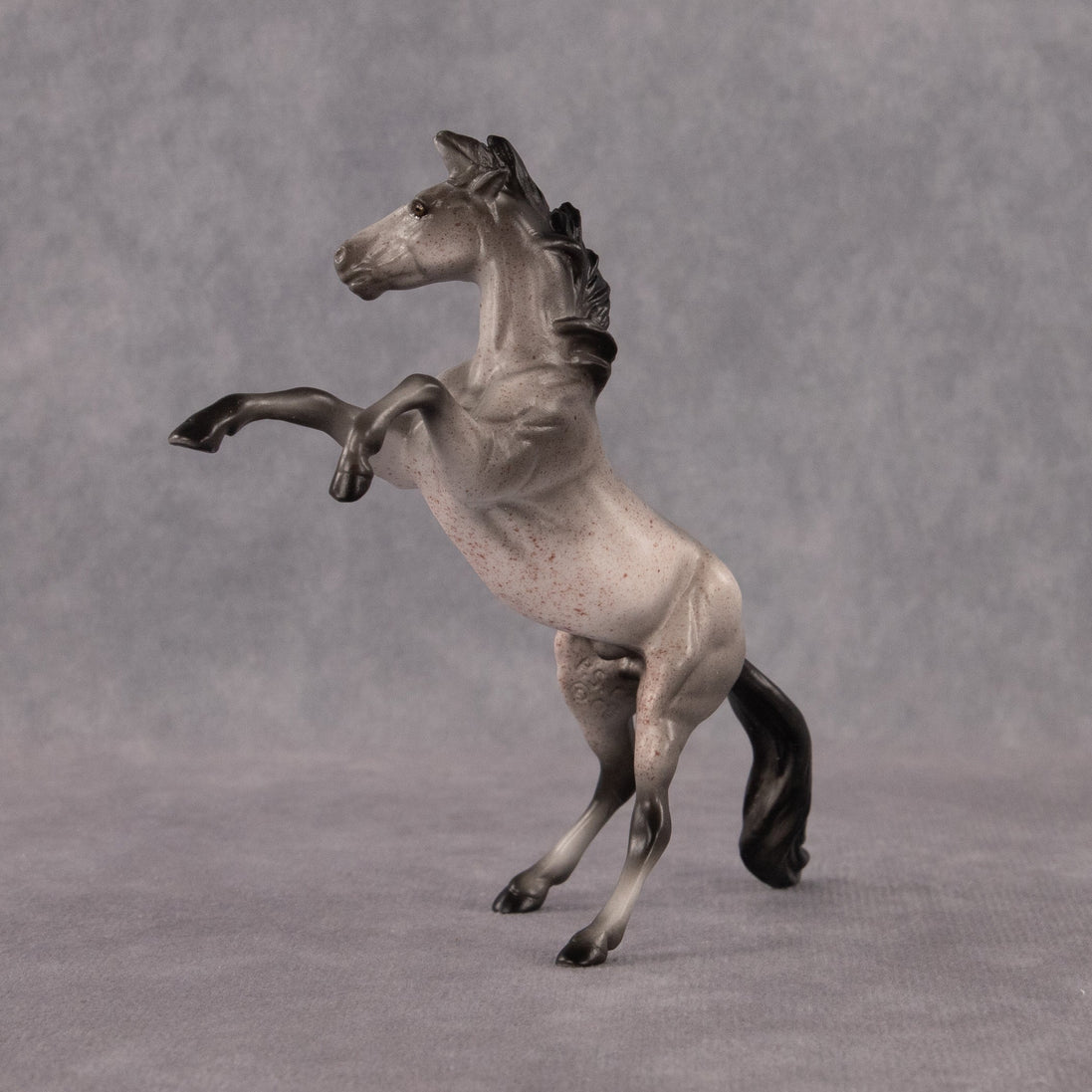Sparrow OOAK Chip Mustang by Anna Rieck EQ26