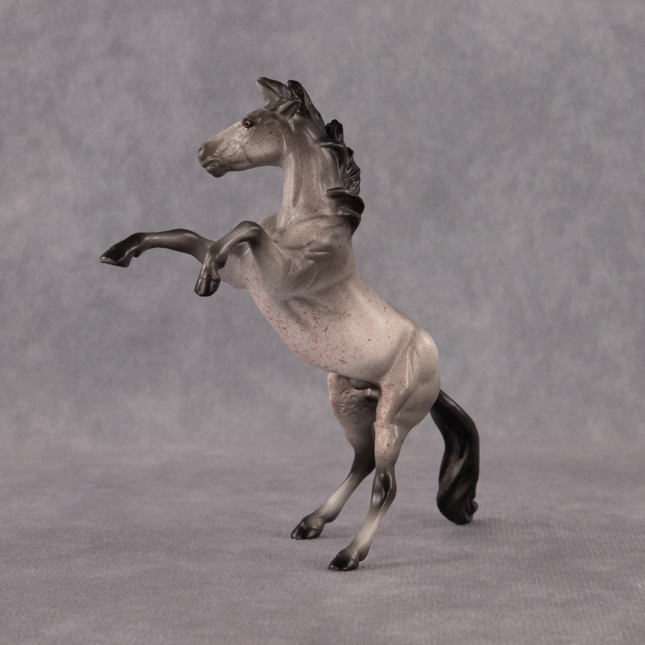 Sparrow OOAK Chip Mustang by Anna Rieck EQ26