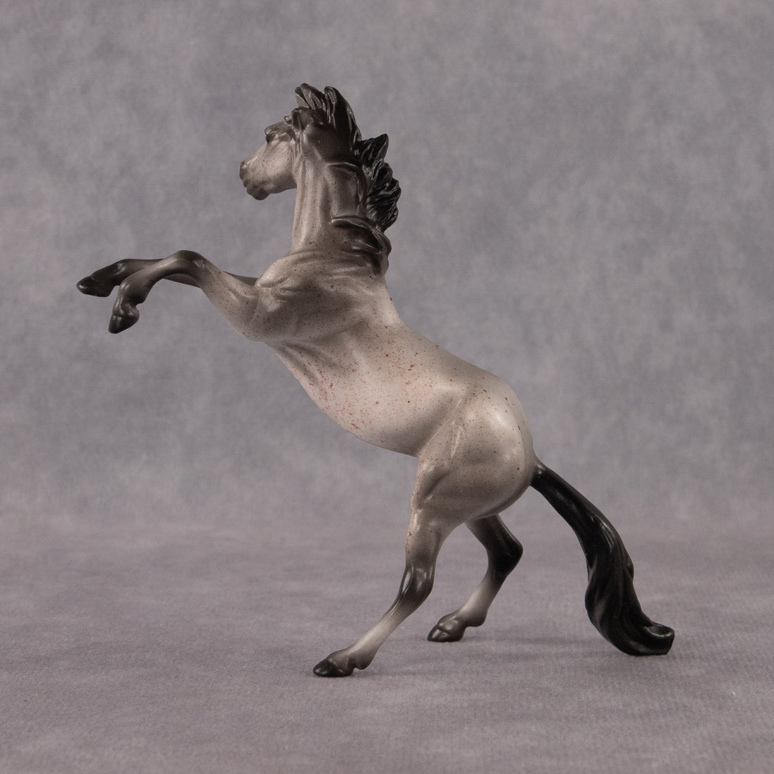 Sparrow OOAK Chip Mustang by Anna Rieck EQ26