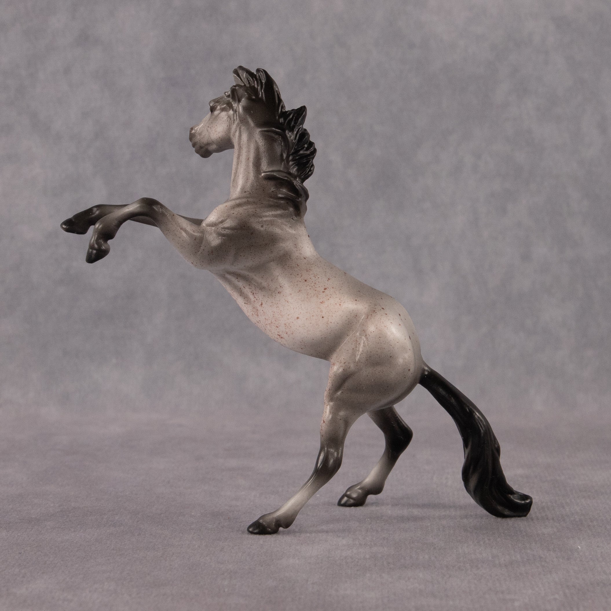 Sparrow OOAK Chip Mustang by Anna Rieck EQ26