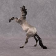 Sparrow OOAK Chip Mustang by Anna Rieck EQ26