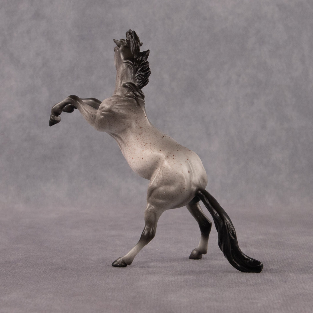 Sparrow OOAK Chip Mustang by Anna Rieck EQ26