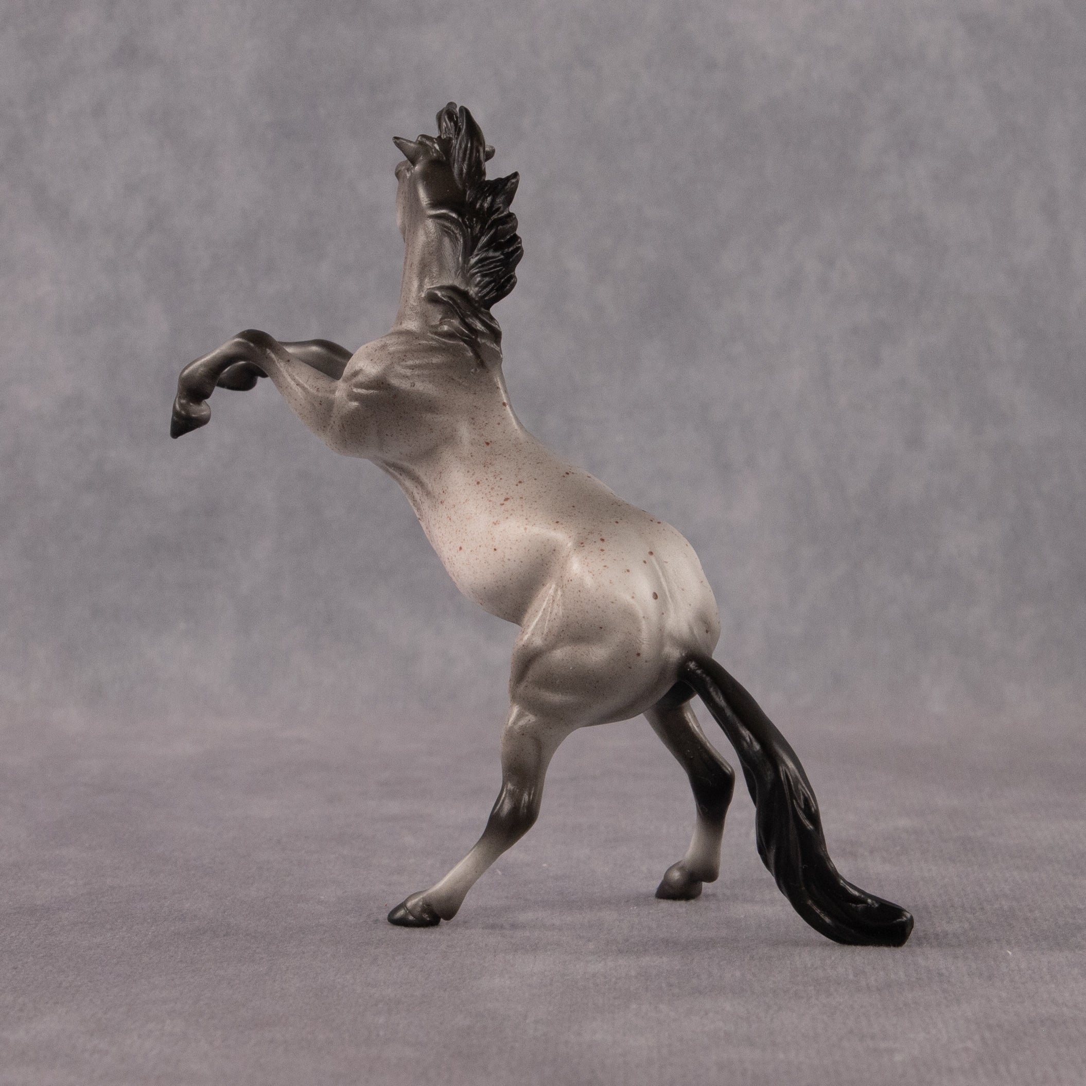 Sparrow OOAK Chip Mustang by Anna Rieck EQ26