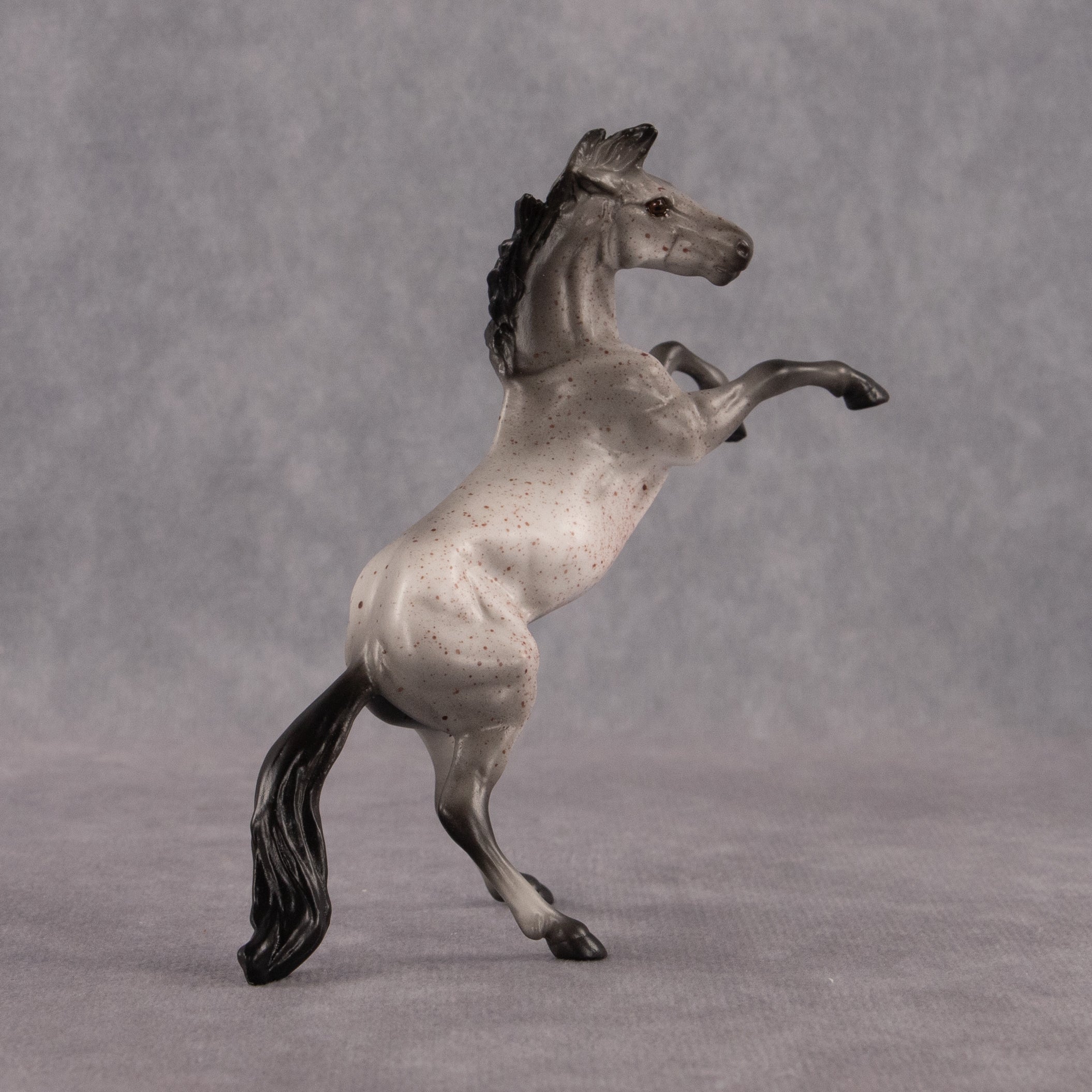 Sparrow OOAK Chip Mustang by Anna Rieck EQ26