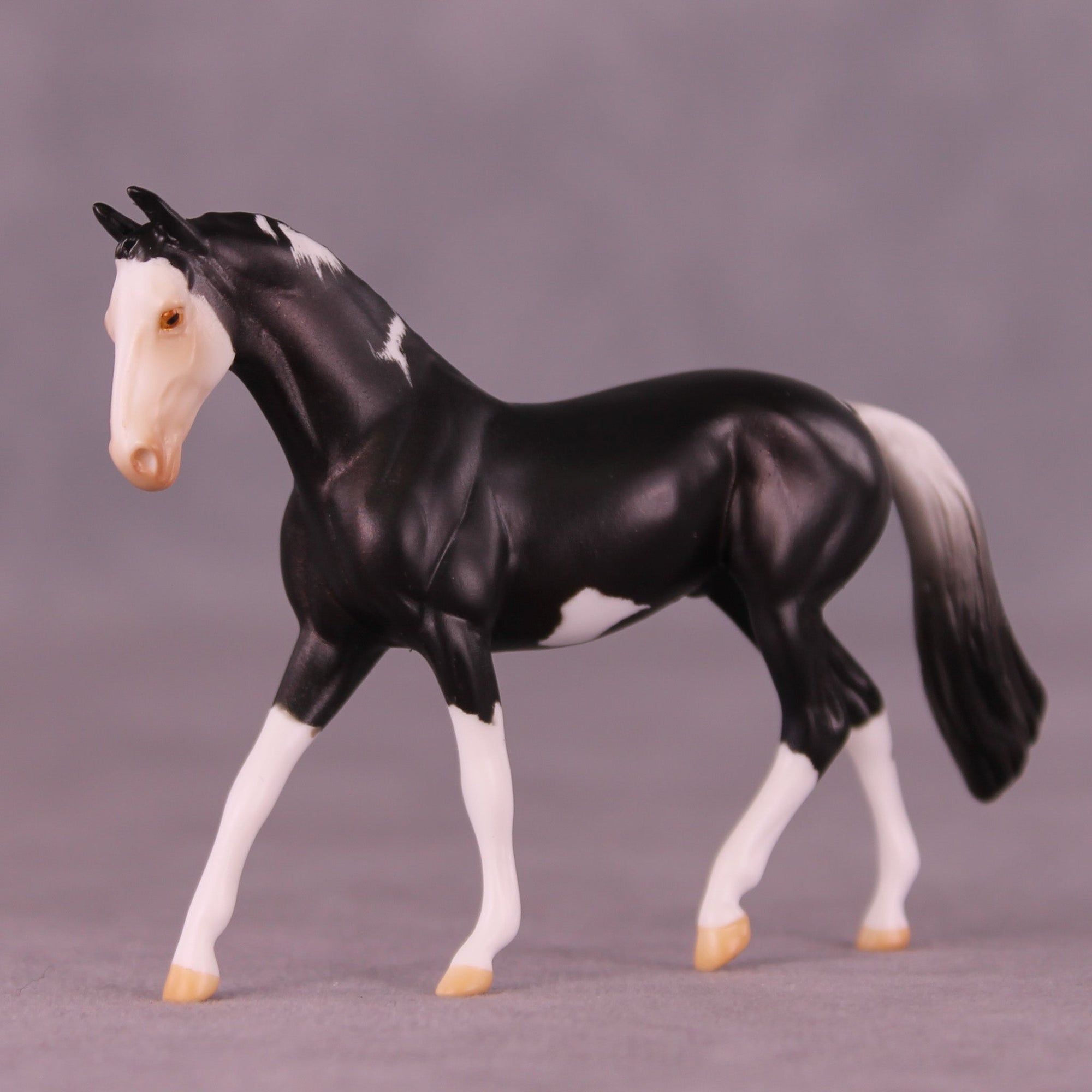 Spector&#39;s Night OOAK Chip Warmblood by Anna Rieck MM25 Group D