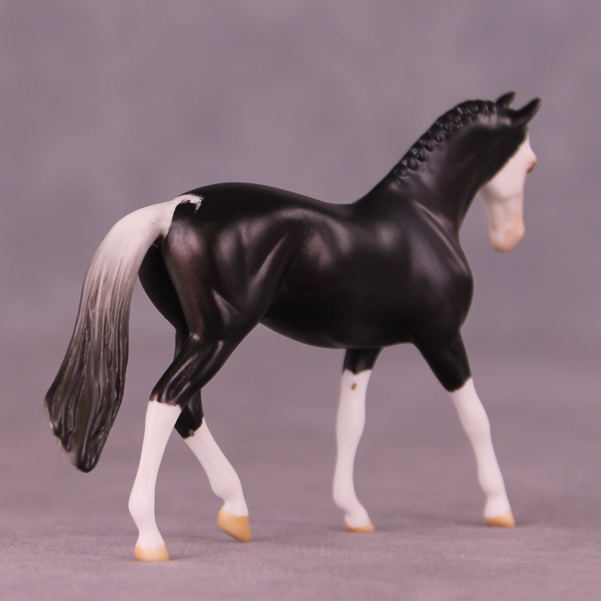 Spector&#39;s Night OOAK Chip Warmblood by Anna Rieck MM25 Group D