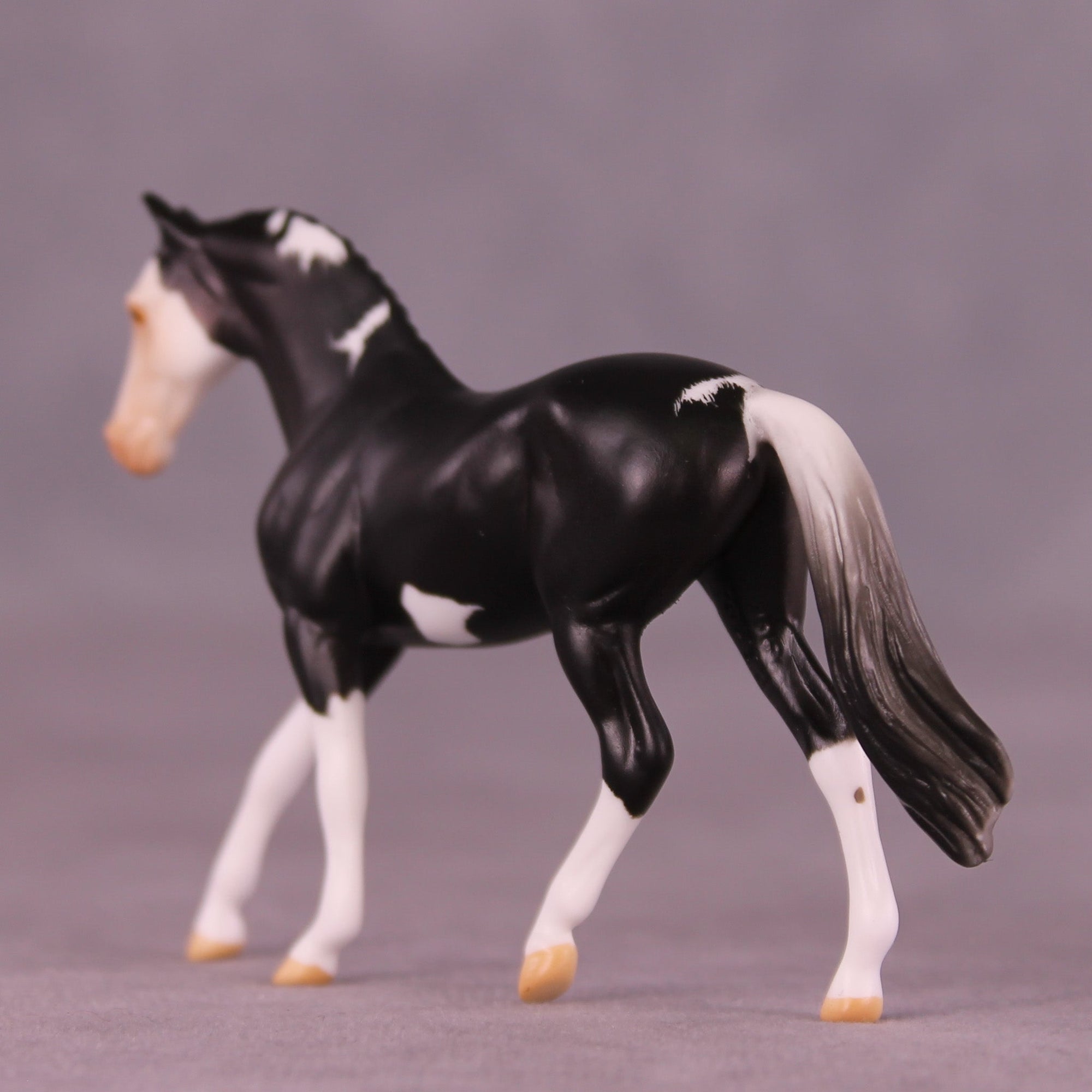 Spector&#39;s Night OOAK Chip Warmblood by Anna Rieck MM25 Group D
