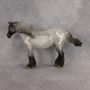 Spectra LE-15 FCM Bunny by Jess Hamill HM26