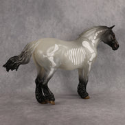 Spectra LE-15 FCM Bunny by Jess Hamill HM26