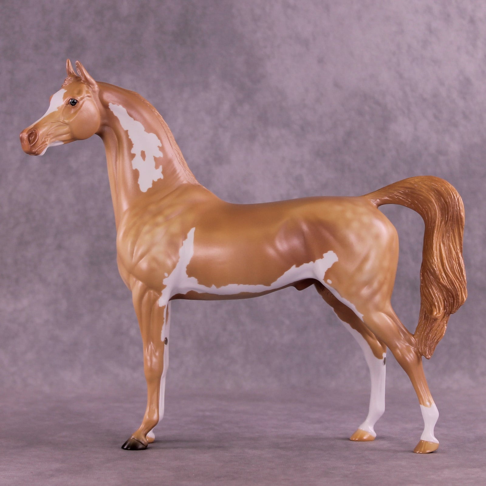 Spectral Presence  OOAK Arabian Stallion by Anna Rieck MM25 Group D