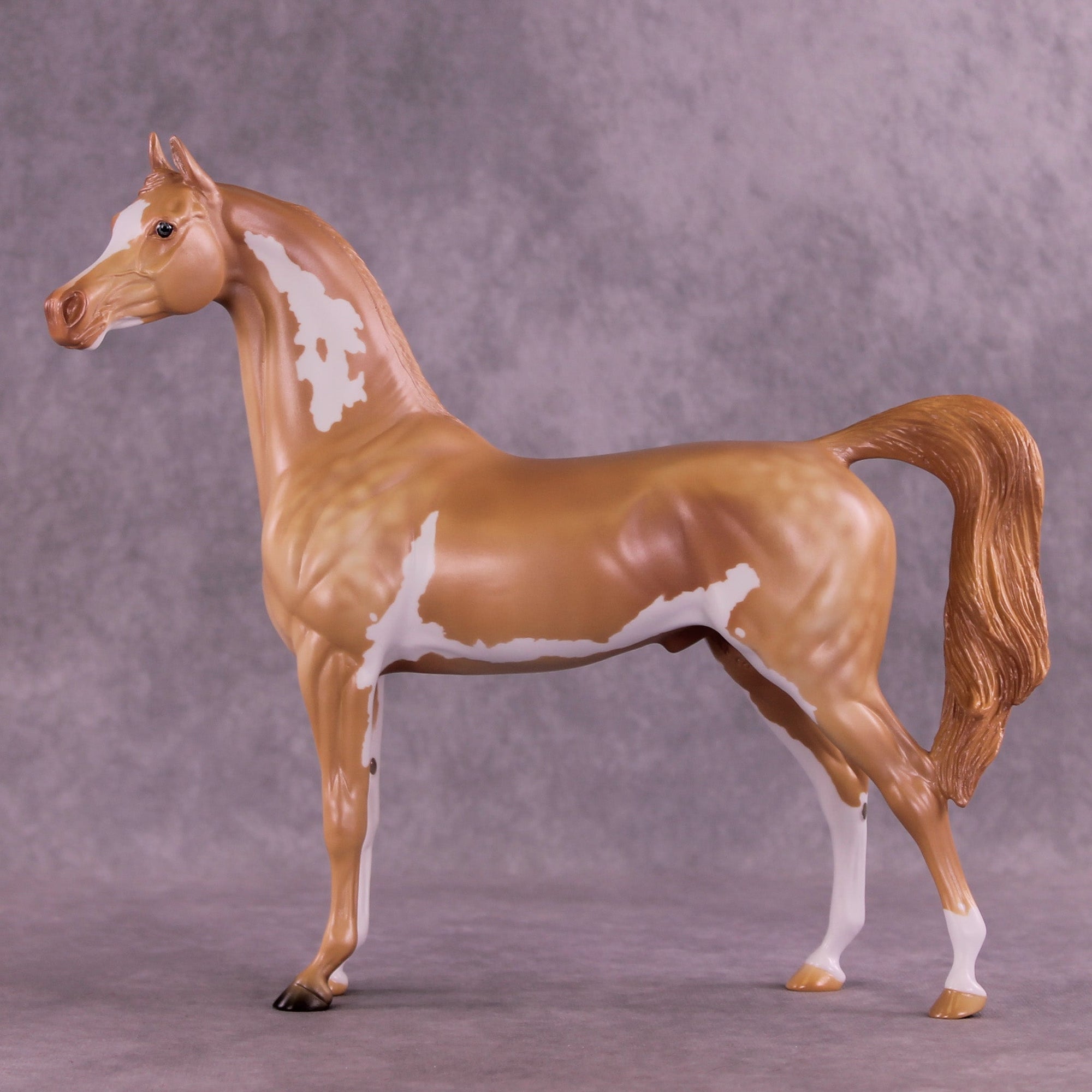 Spectral Presence  OOAK Arabian Stallion by Anna Rieck MM25 Group D