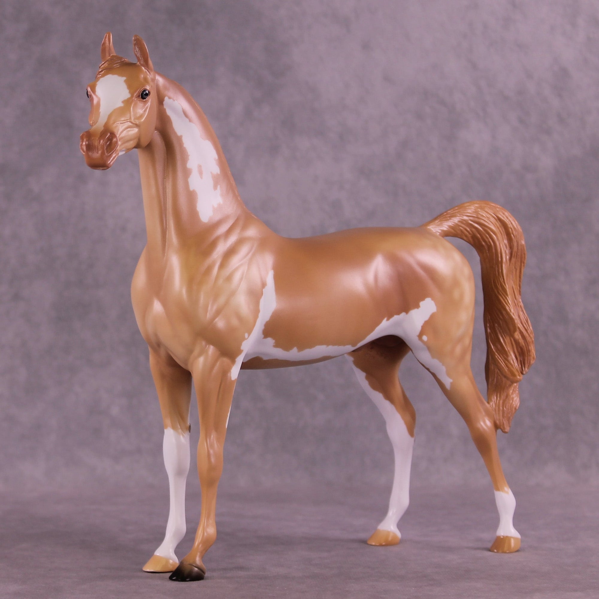 Spectral Presence  OOAK Arabian Stallion by Anna Rieck MM25 Group D