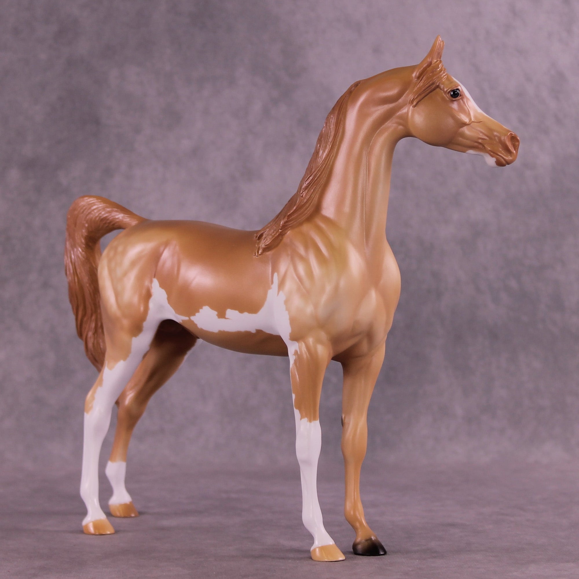Spectral Presence  OOAK Arabian Stallion by Anna Rieck MM25 Group D