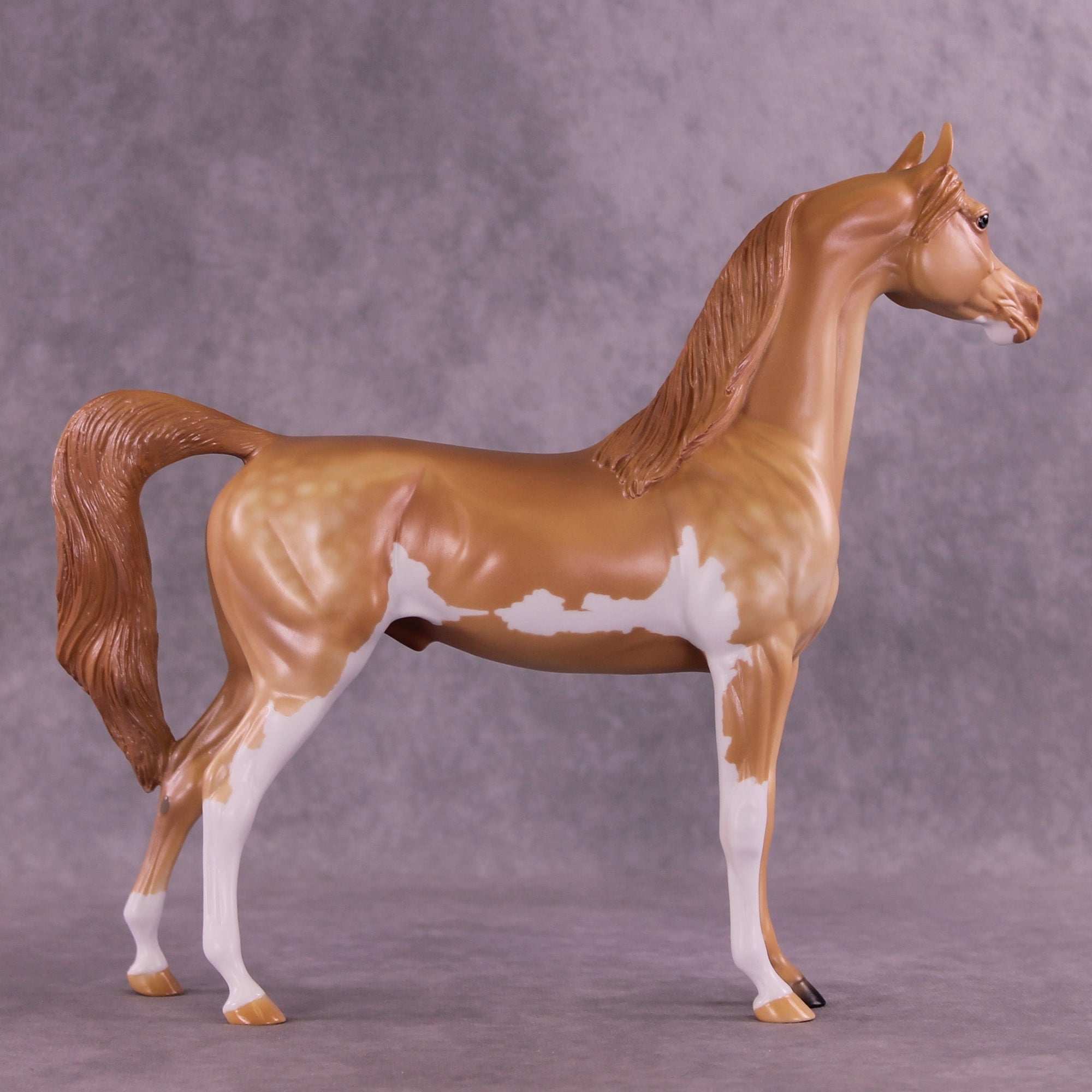 Spectral Presence  OOAK Arabian Stallion by Anna Rieck MM25 Group D