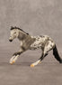 Spectre OOAK Chip Cutting Horse by Dawn Quick SHCF26