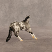 Spectre OOAK Chip Cutting Horse by Dawn Quick SHCF26